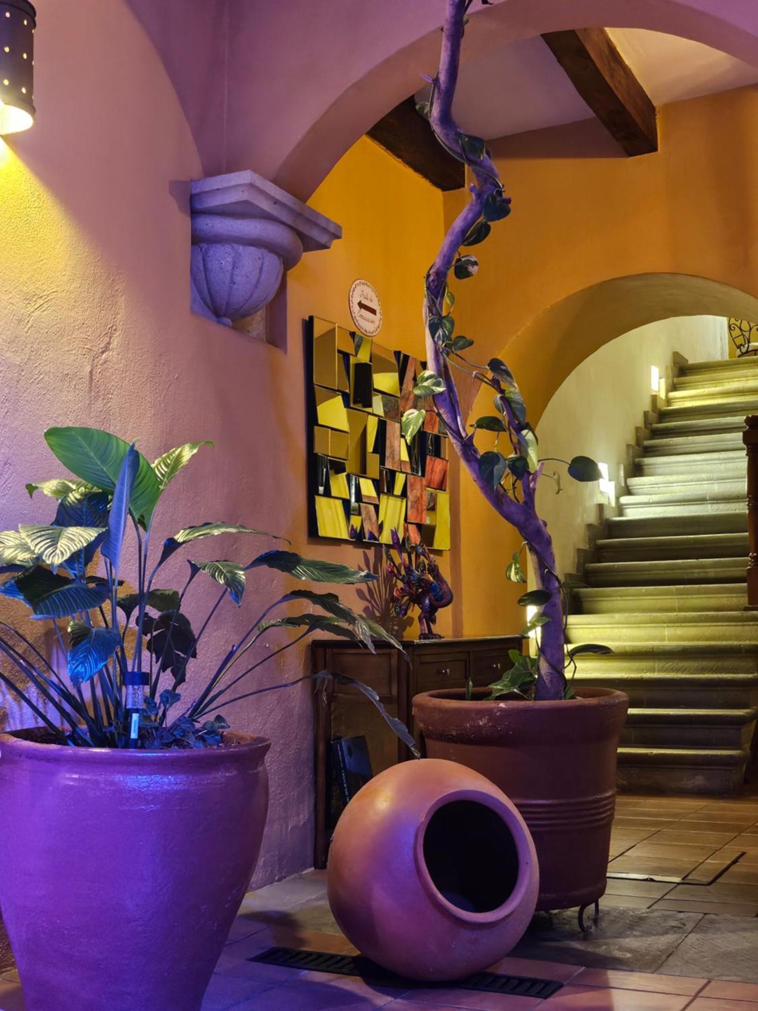 Hotel Casa Divina Oaxaca Luaran gambar